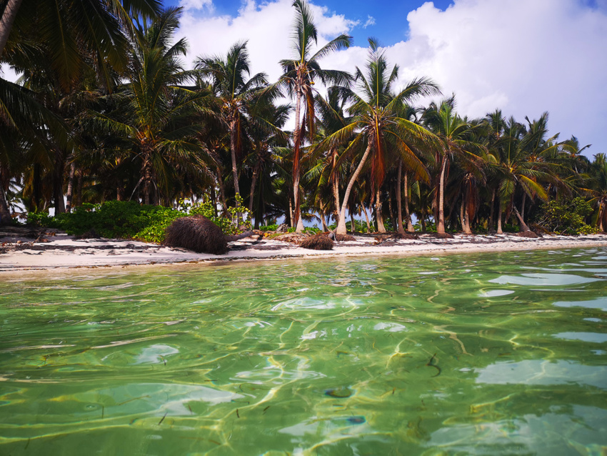 Cabeza de Toro Beach, Punta Cana, the DR